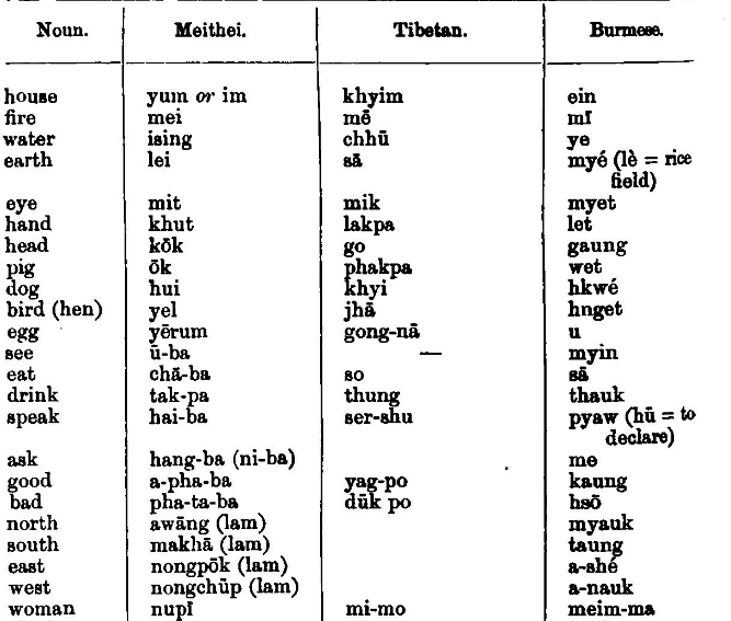 Word metie6.PNG