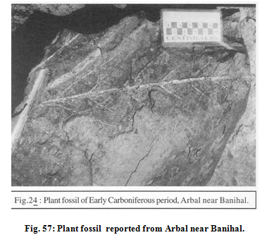 Status of bio diversity2.PNG