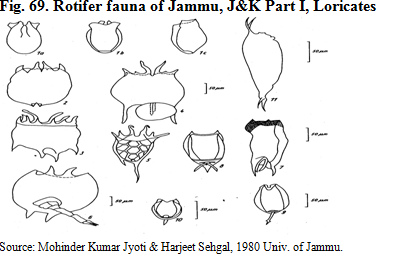 Status of bio diversity25.PNG