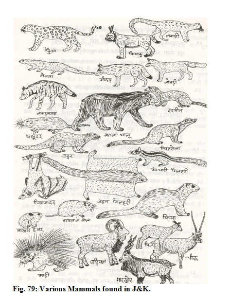 Status of bio diversity36.PNG