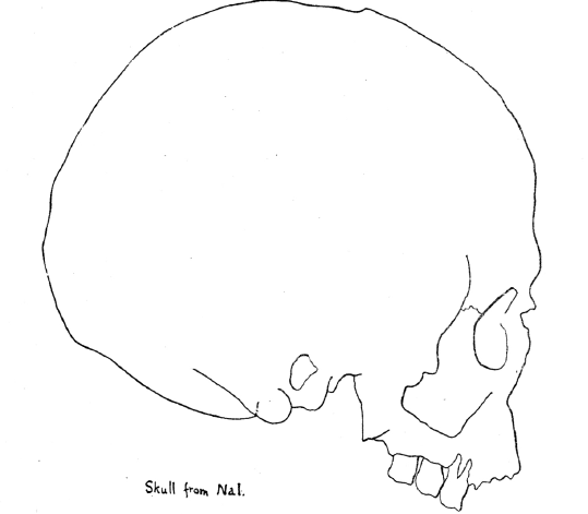 Skull2.PNG
